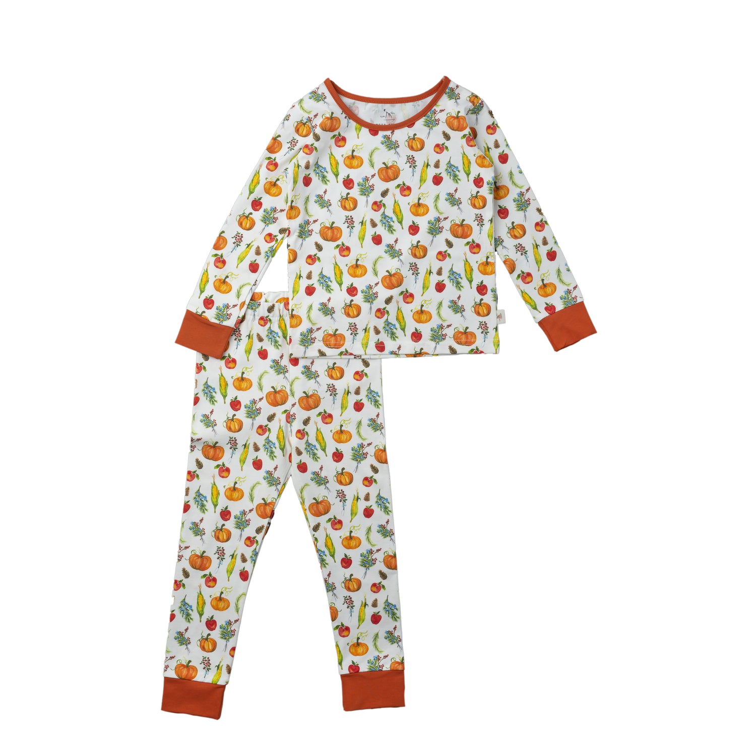 Two-Piece Long Sleeve Toddler Pajamas - Fall Harvest Pumpkins