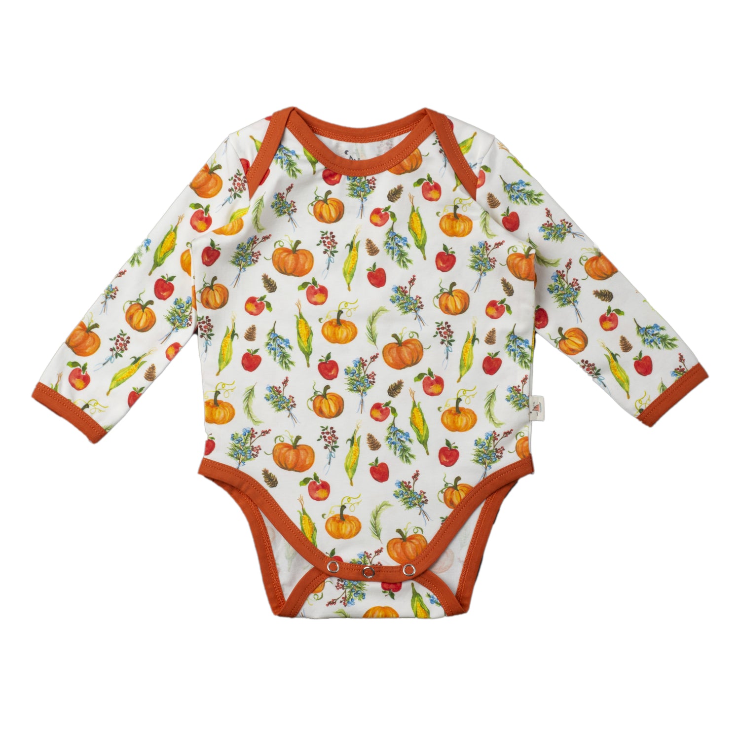 Long Sleeve Bodysuit - Fall Harvest Pumpkins